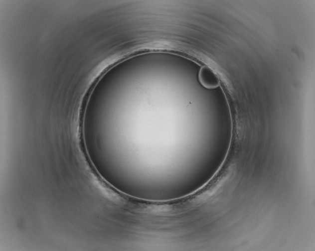 X0000111420845200907131200