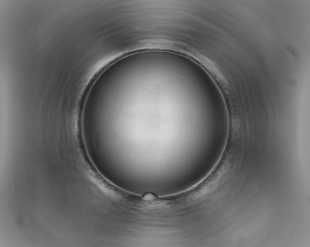 X0000111420846200907131200