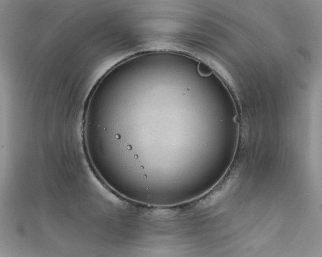 X0000111420847200907131200