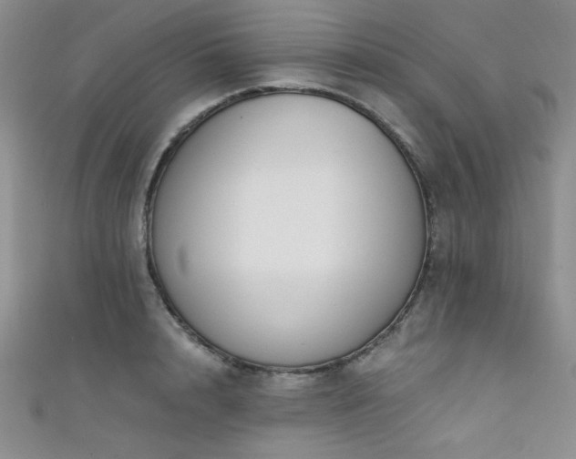 X0000111420848200907131200