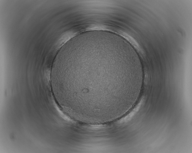 X0000111420849200907131201