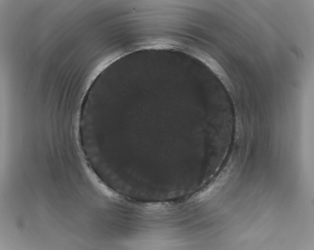 X0000111420850200907131201