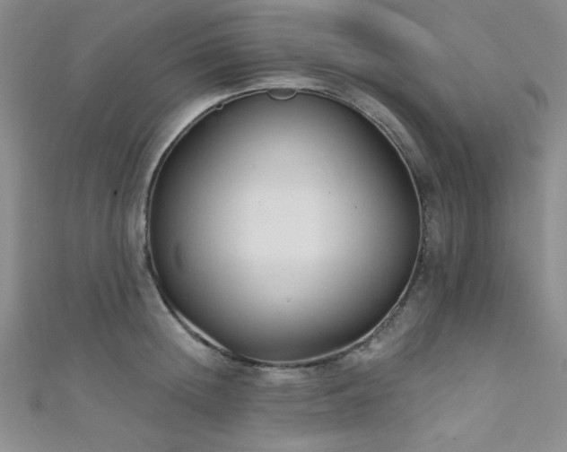 X0000111420852200907131201