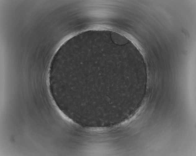 X0000111420853200907131201