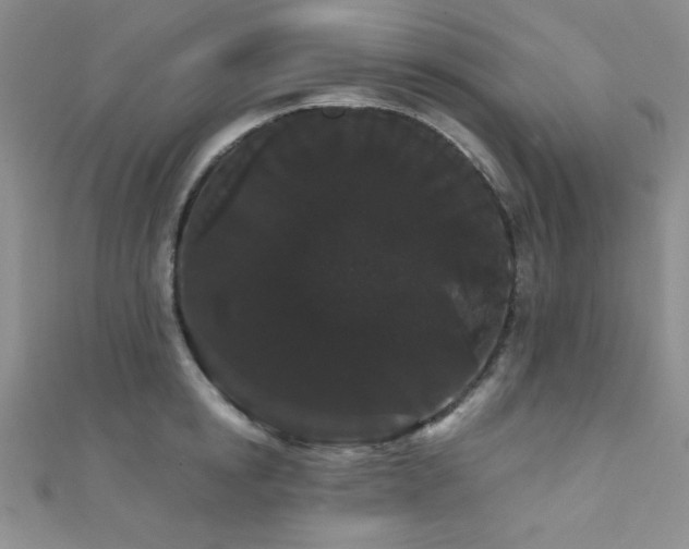 X0000111420854200907131201