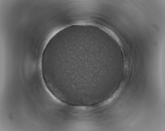 X0000111420855200907131201