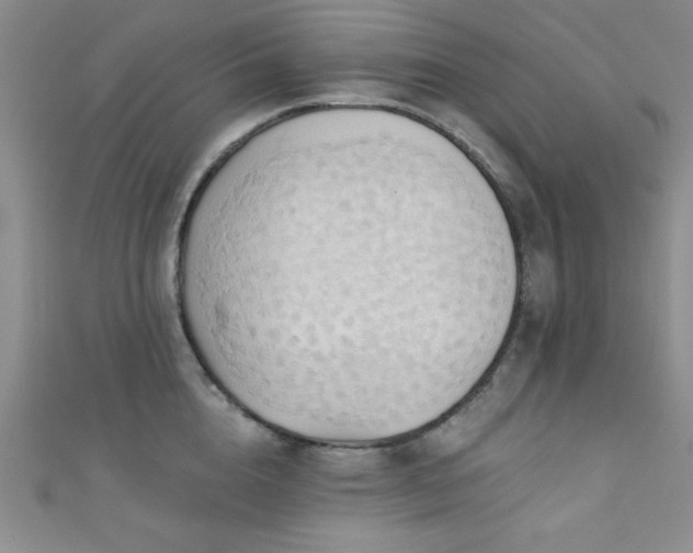 X0000111420856200907131201