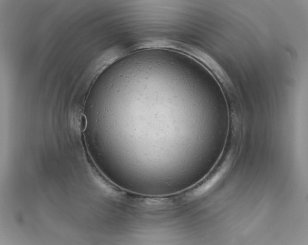 X0000111420857200907131201