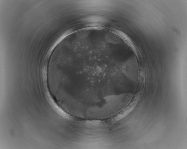 X0000111420859200907131201