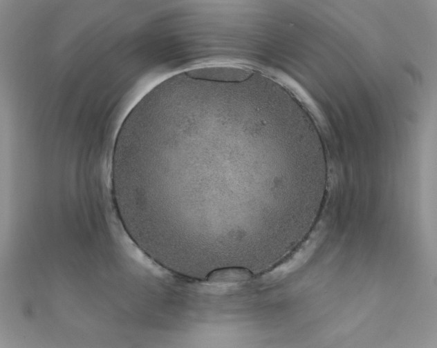 X0000111420860200907131201