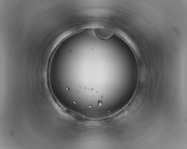 X0000111420861200907131201