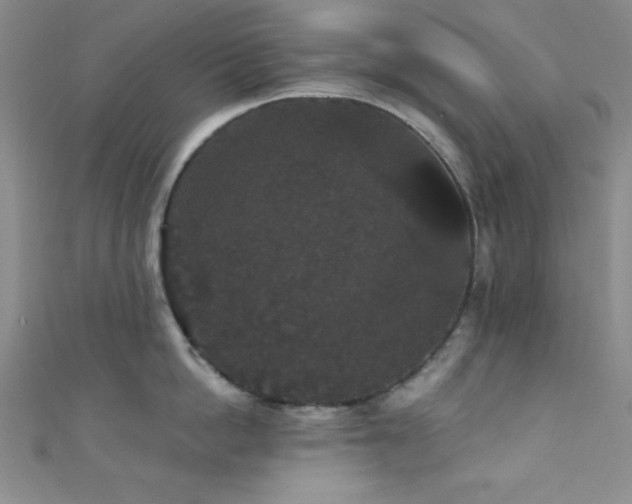 X0000111420862200907131201