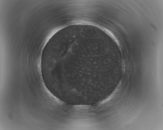 X0000111420863200907131201