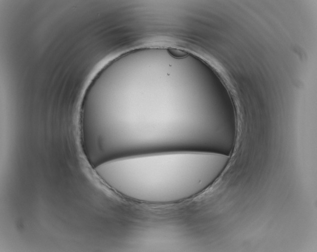 X0000111420864200907131201