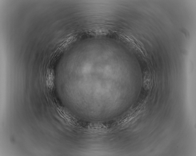 X0000111420866200907131200