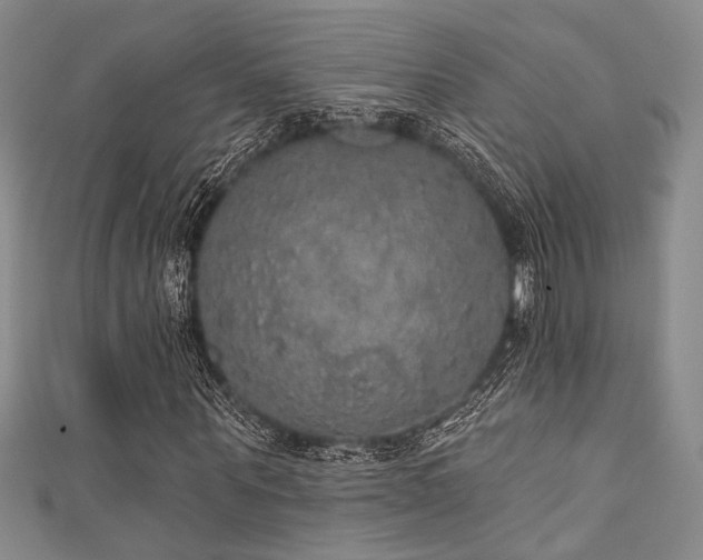 X0000111420867200907131200