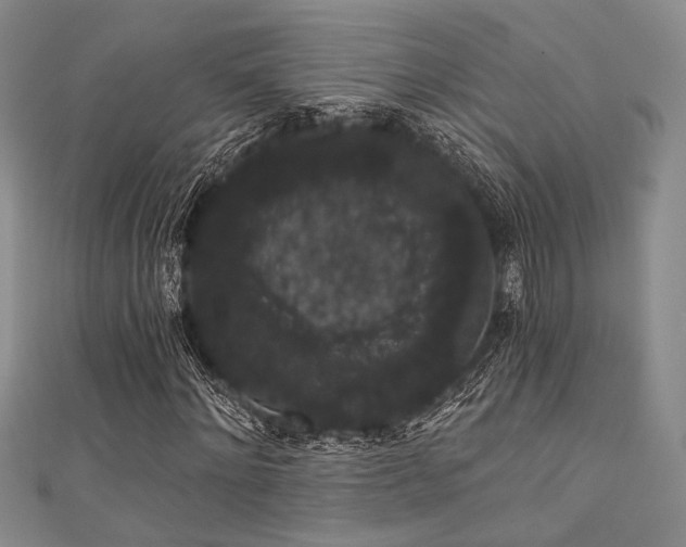 X0000111420868200907131200