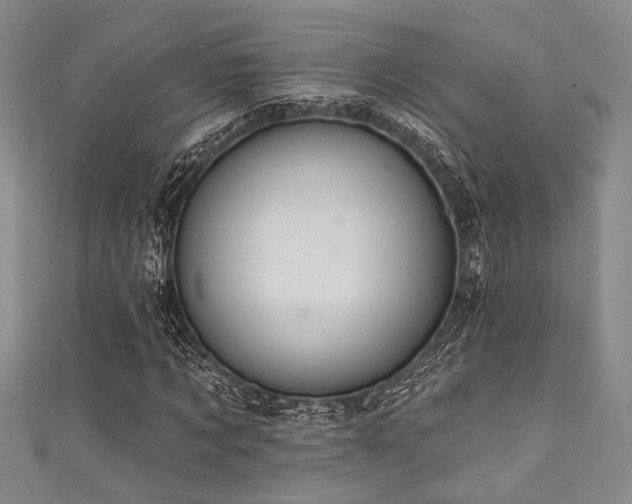 X0000111420869200907131200