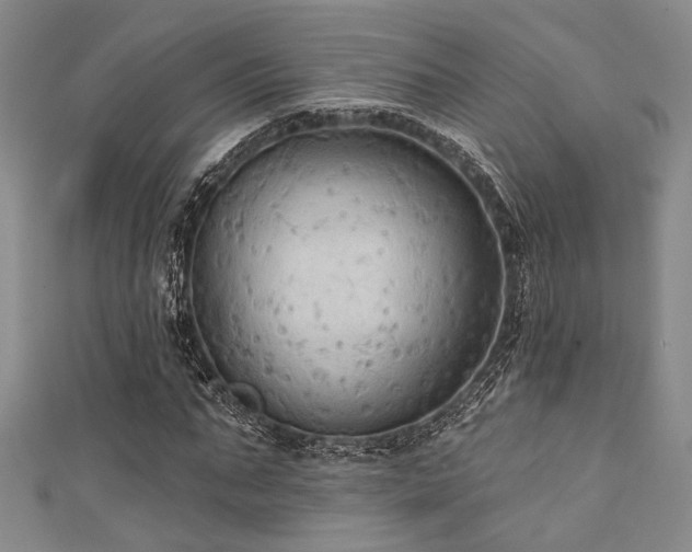 X0000111420871200907131200