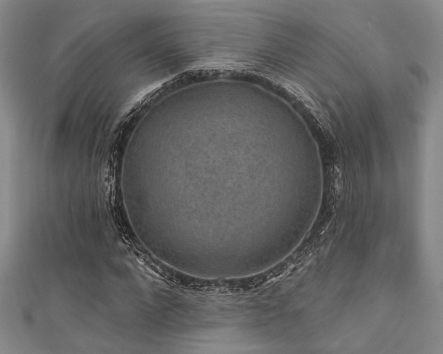 X0000111420872200907131200