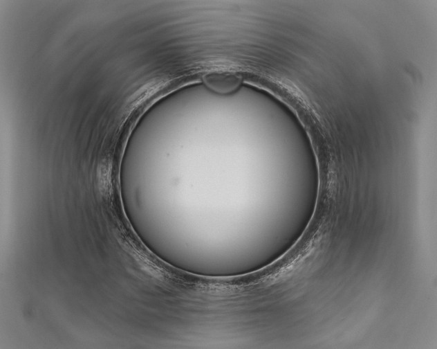 X0000111420873200907131200