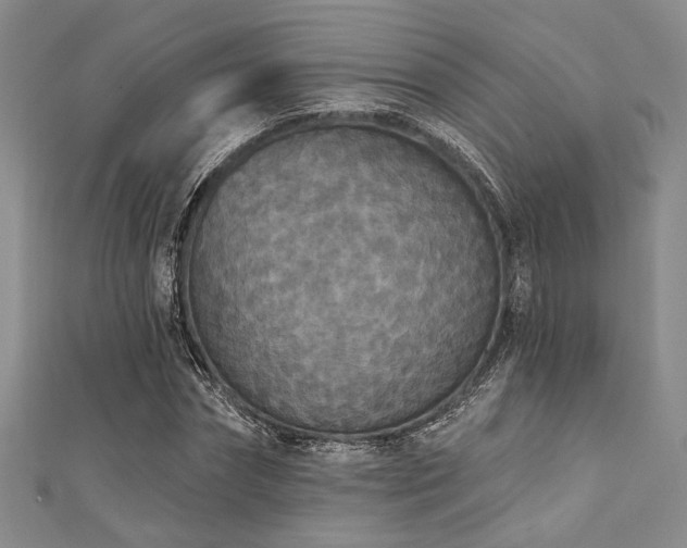 X0000111420874200907131200