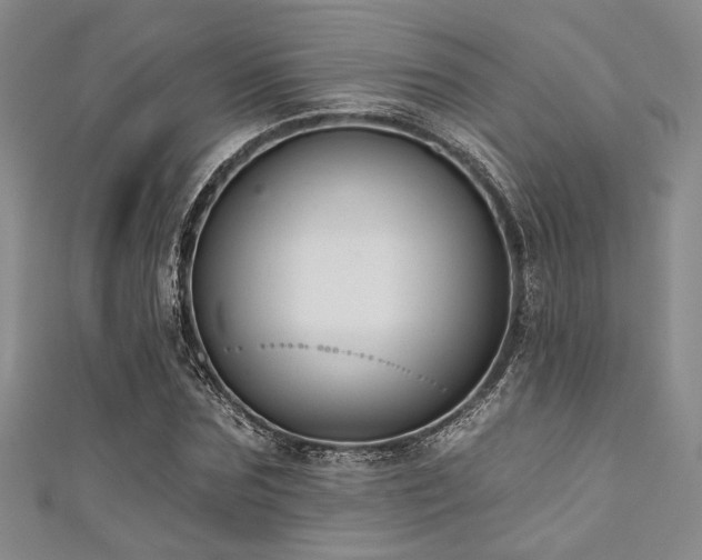 X0000111420875200907131200