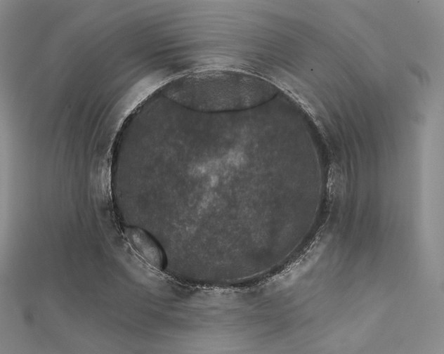 X0000111420877200907131200