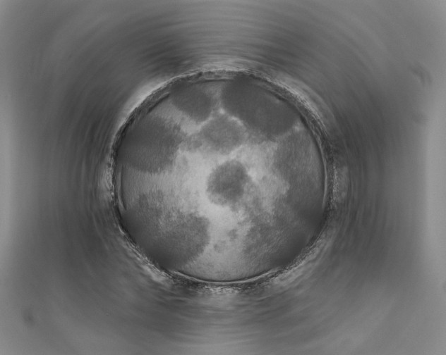 X0000111420878200907131200