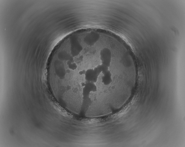 X0000111420879200907131200