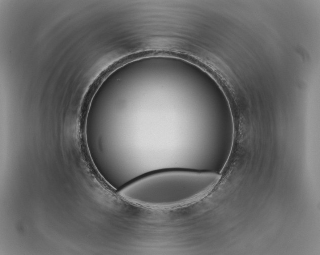 X0000111420880200907131200