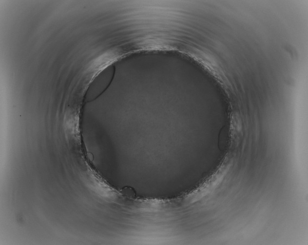 X0000111420881200907131200