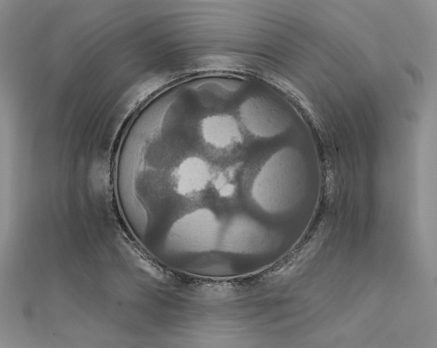 X0000111420882200907131200