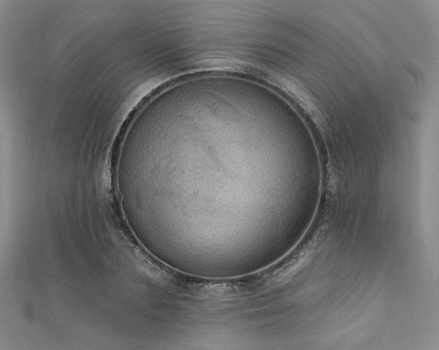 X0000111420883200907131200