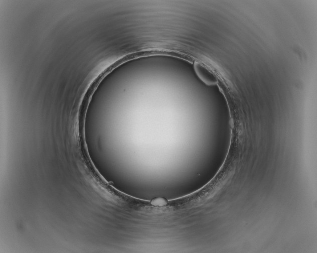 X0000111420884200907131200