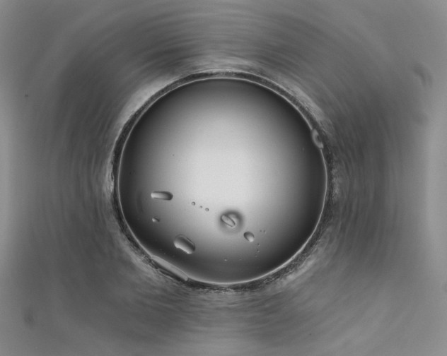 X0000111420885200907131200