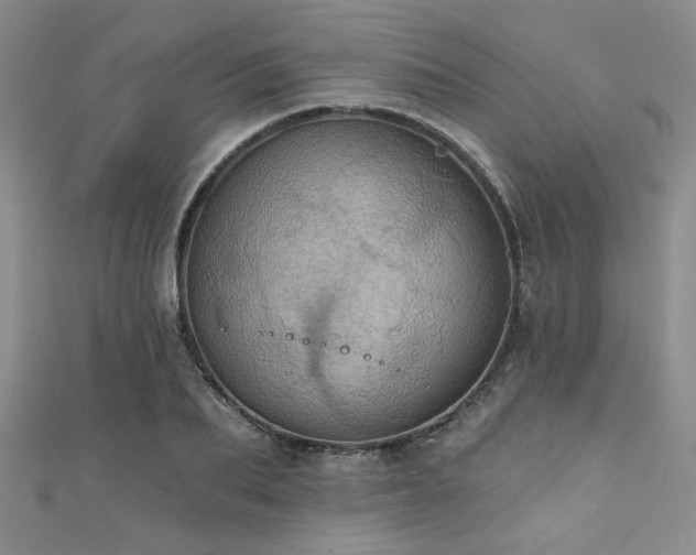 X0000111420887200907131200