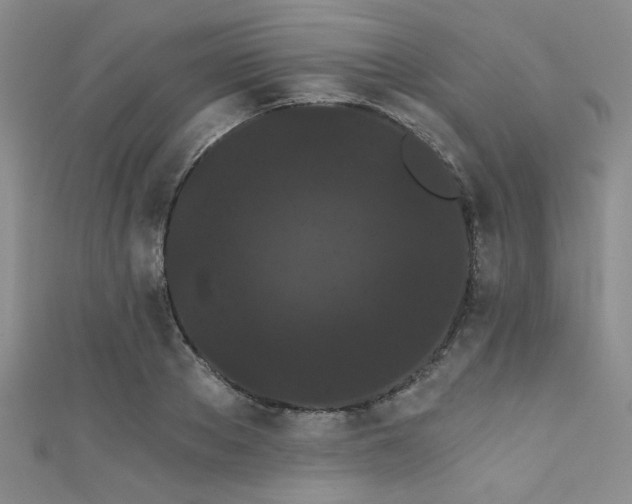 X0000111420889200907131200