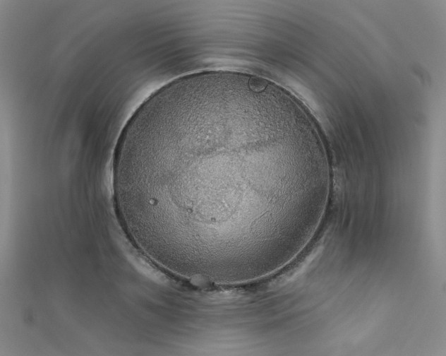 X0000111420891200907131200