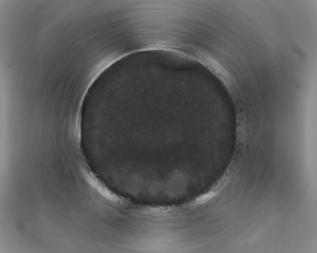 X0000111420892200907131200