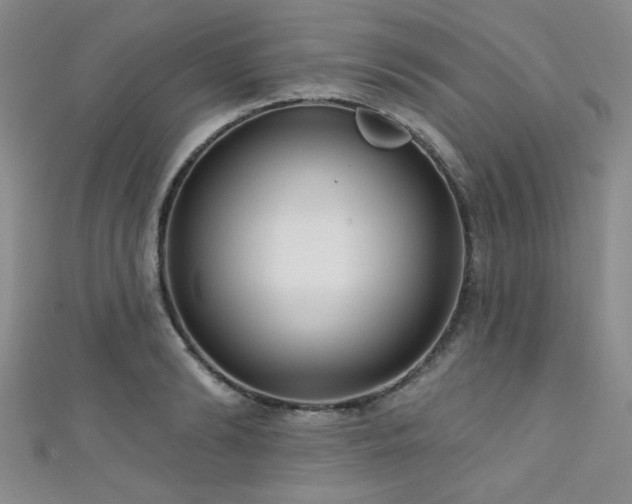 X0000111420894200907131200