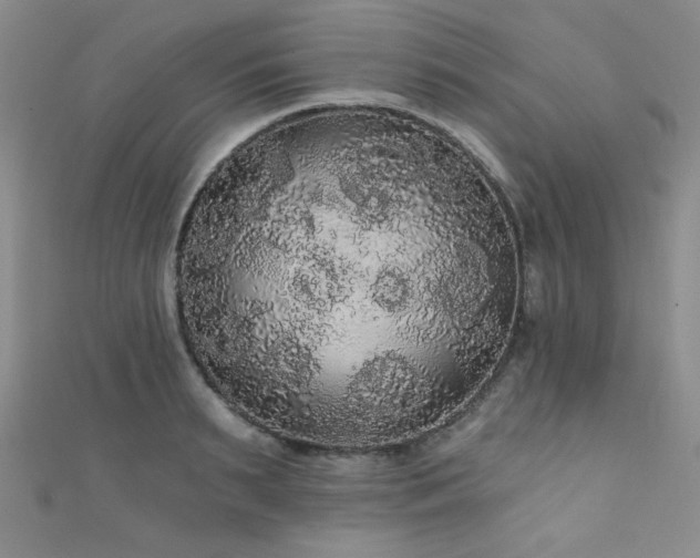 X0000111420895200907131200