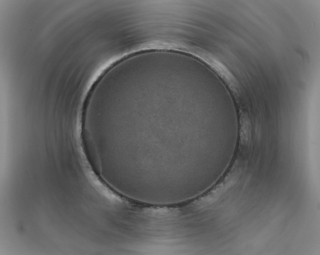 X0000111420896200907131200