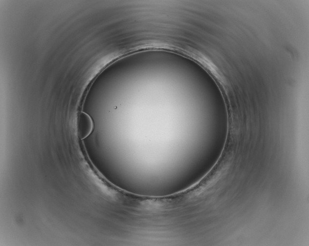 X0000111420898200907131200