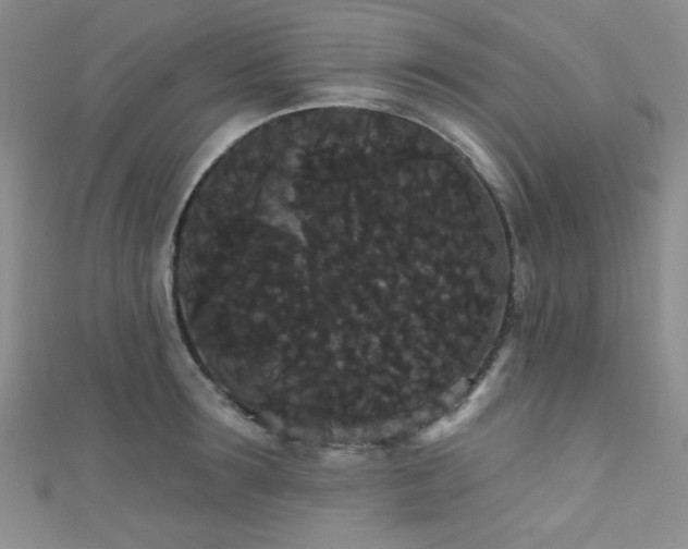 X0000111420899200907131200