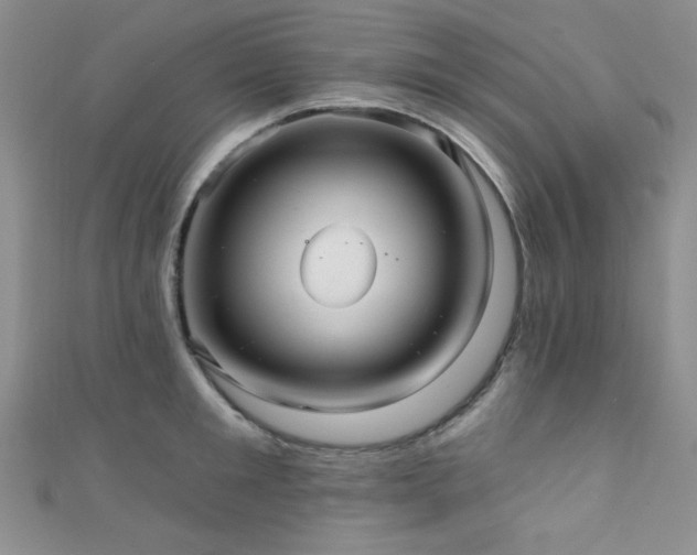 X0000111420901200907131200