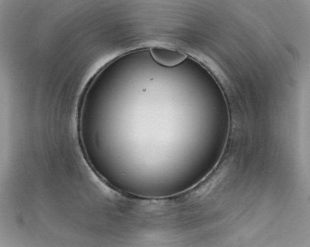 X0000111420902200907131200