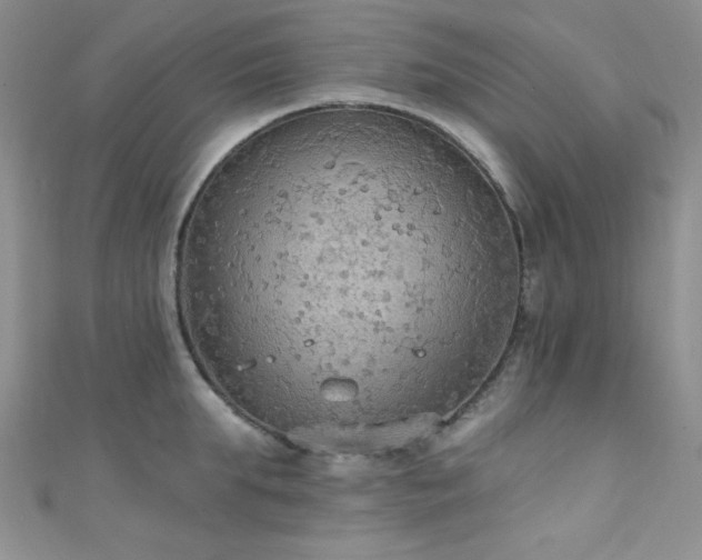 X0000111420903200907131200