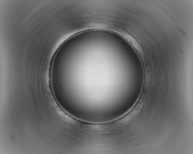 X0000111420904200907131159