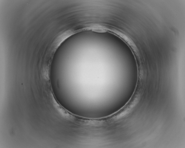 X0000111420905200907131159